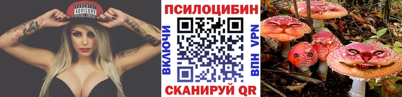 Псилоцибиновые грибы Magic Shrooms  Купить закладки  Темников 